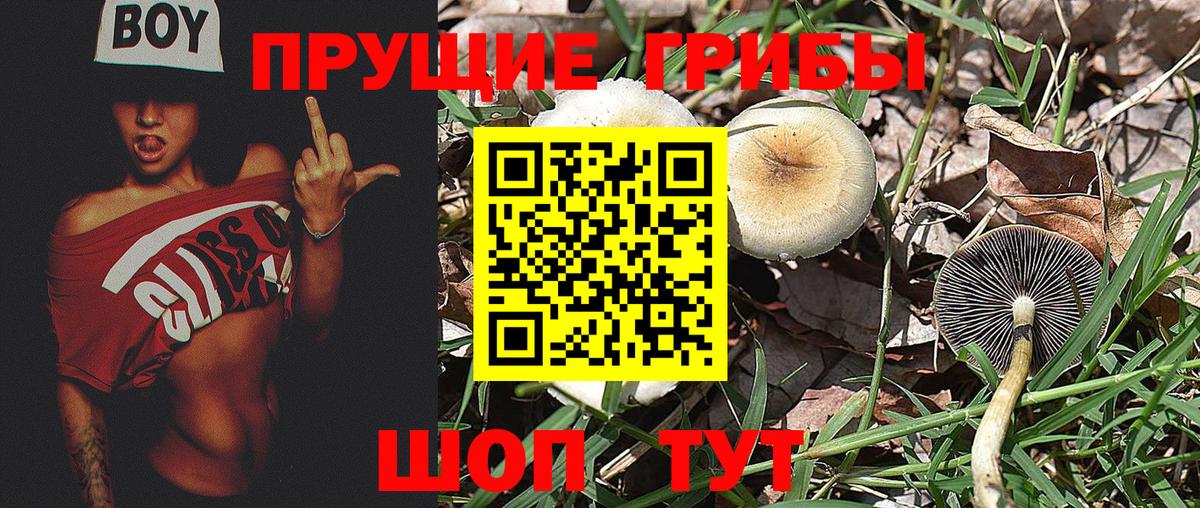 Галлюциногенные грибы MAGIC MUSHROOMS Белорецк