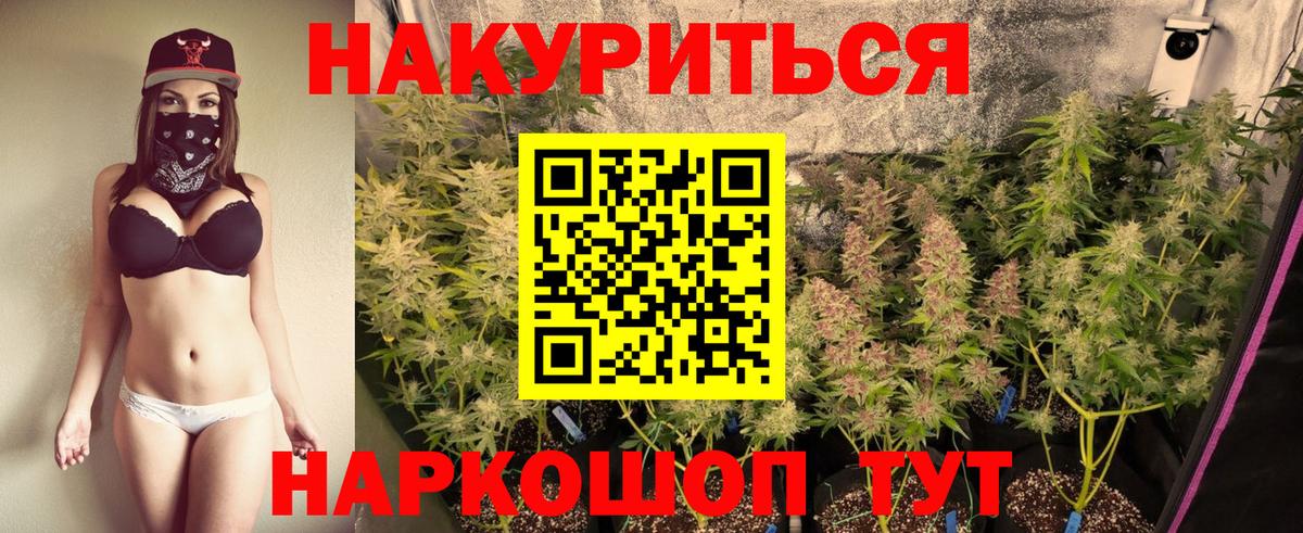 Бошки марихуана OG Kush Белорецк